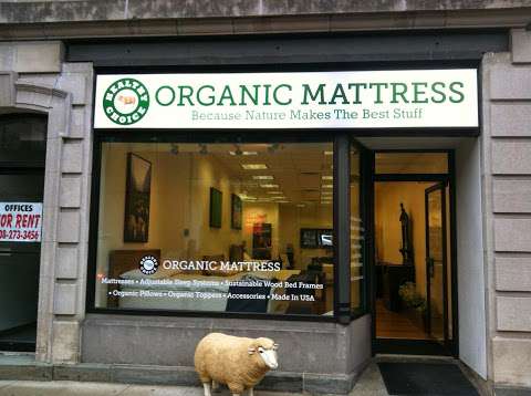 Healthy Choice Organic Mattress